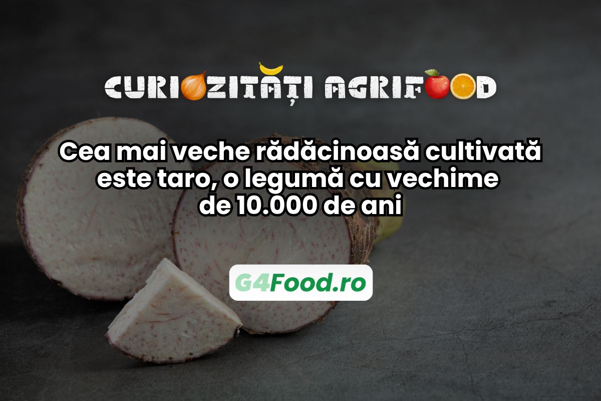 curiozitati agrifood leguma taro