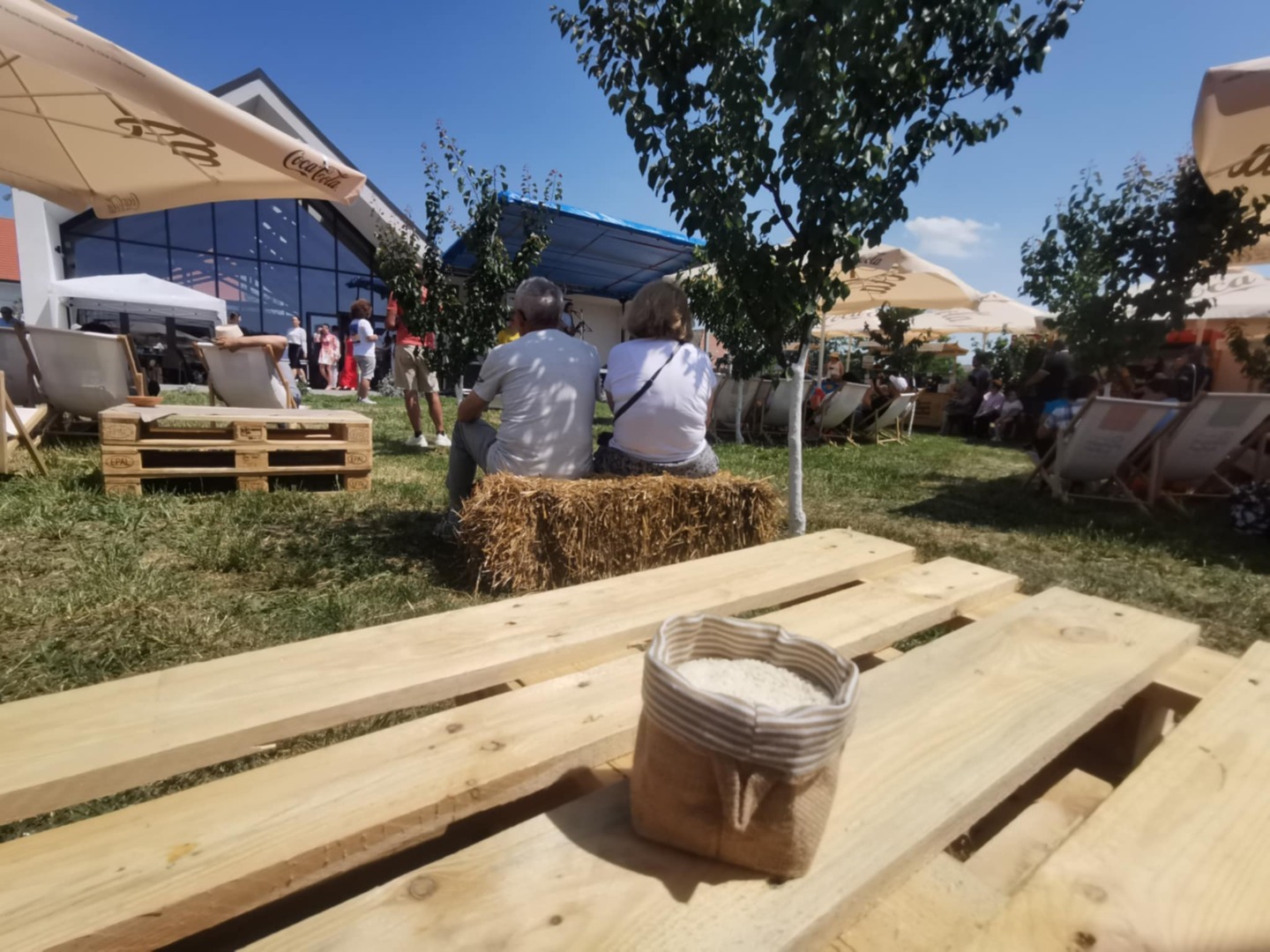 Festivalul orezului de la Partoș FOTO Ștefan Both