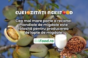 Laptele de migdale necesita cea ai mare parte a recoltei de migdale
