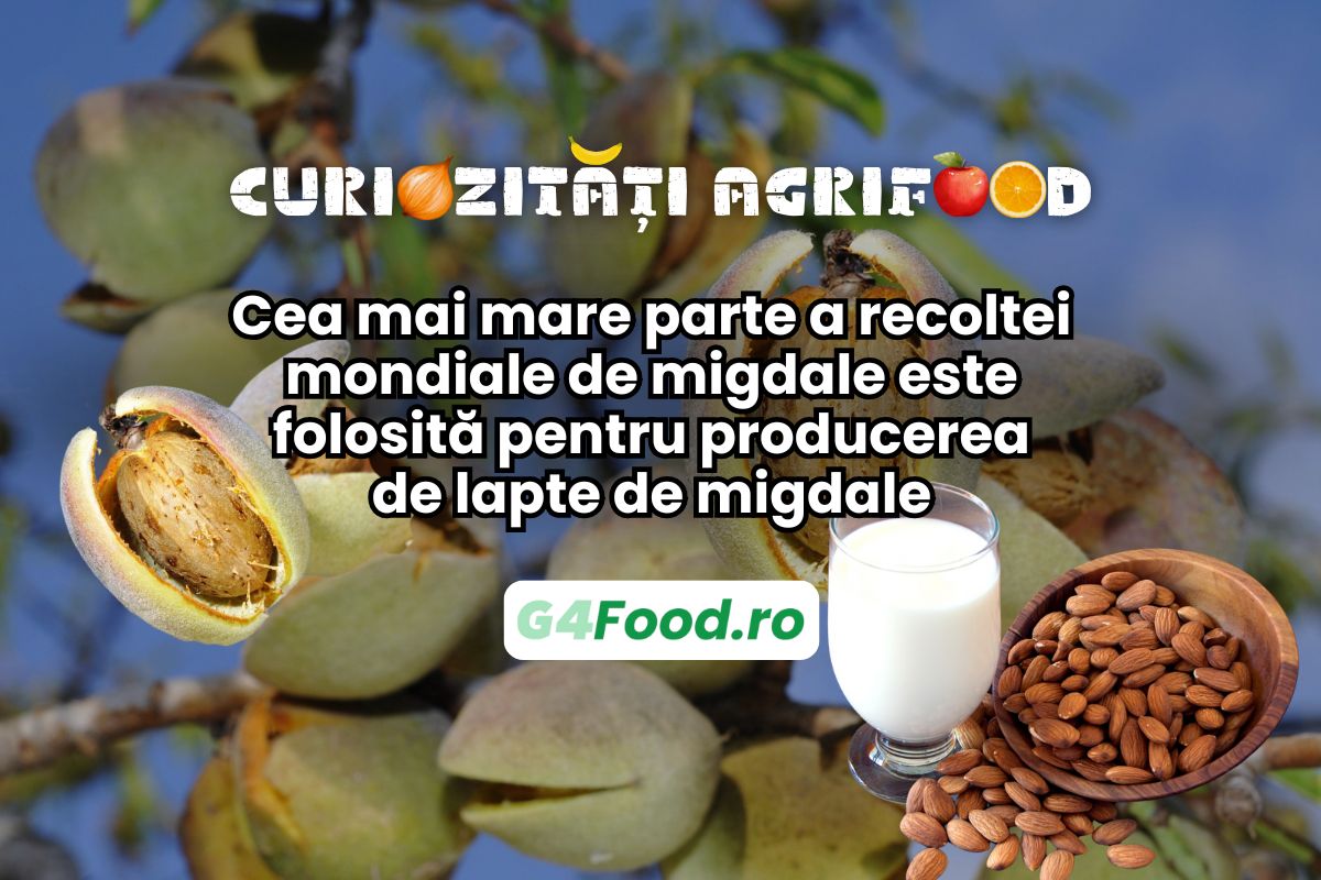 Laptele de migdale necesita cea ai mare parte a recoltei de migdale