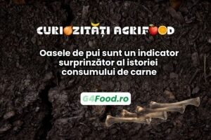 Oasele de pui studiate aduc indicii despre istoria consumului d carne de pui