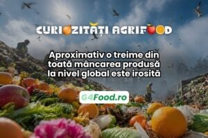 O treime din mâncarea produsă la nivel global este irosită