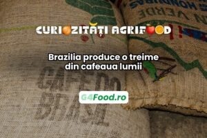 O treime din cafeaua lumii este produsă în Brazilia