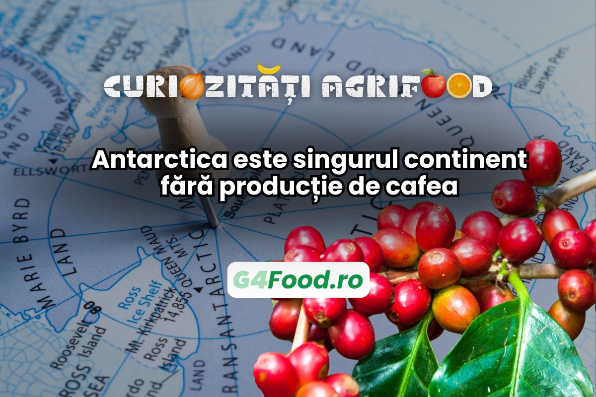 Antarctica este singurul continent care nu are producție de cafea