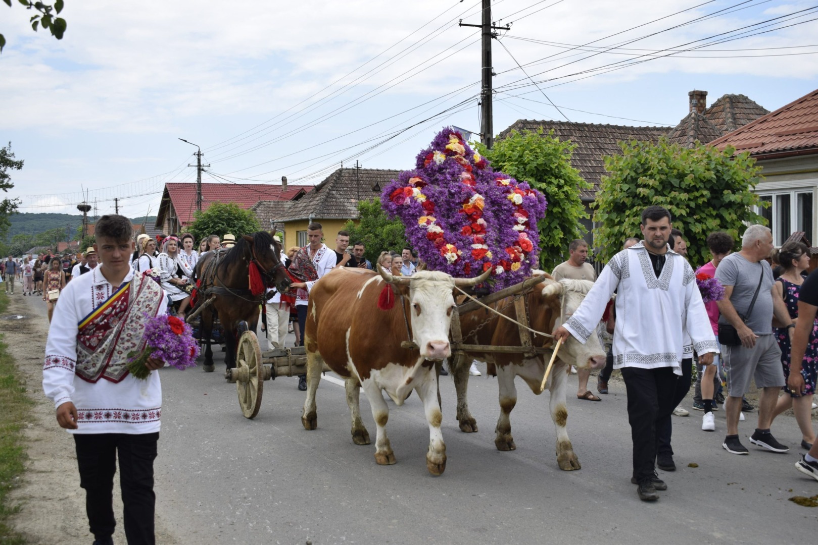 Vechi obicei agrar de Rusalii - „Împănatul boului”, perpetuat de locuitorii din zona Becleanului