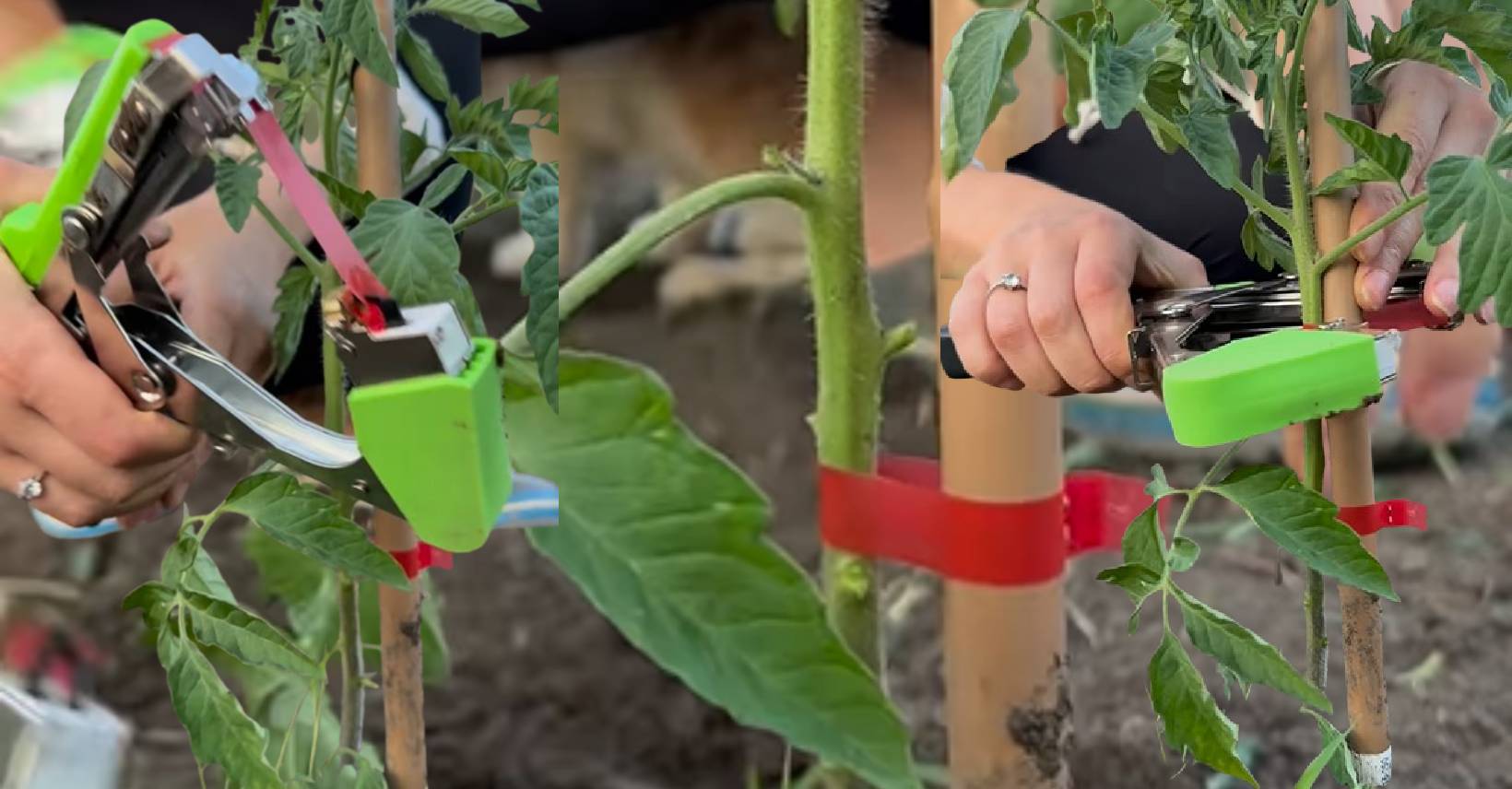 aparat grădinărit legat plante