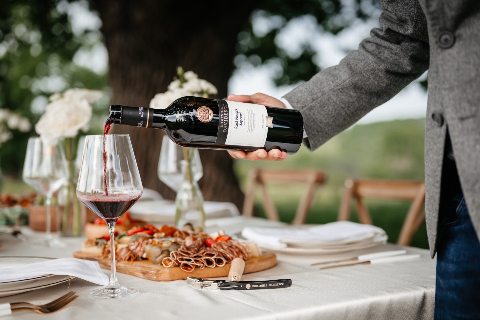 Vin roșu Domeniile Davidescu