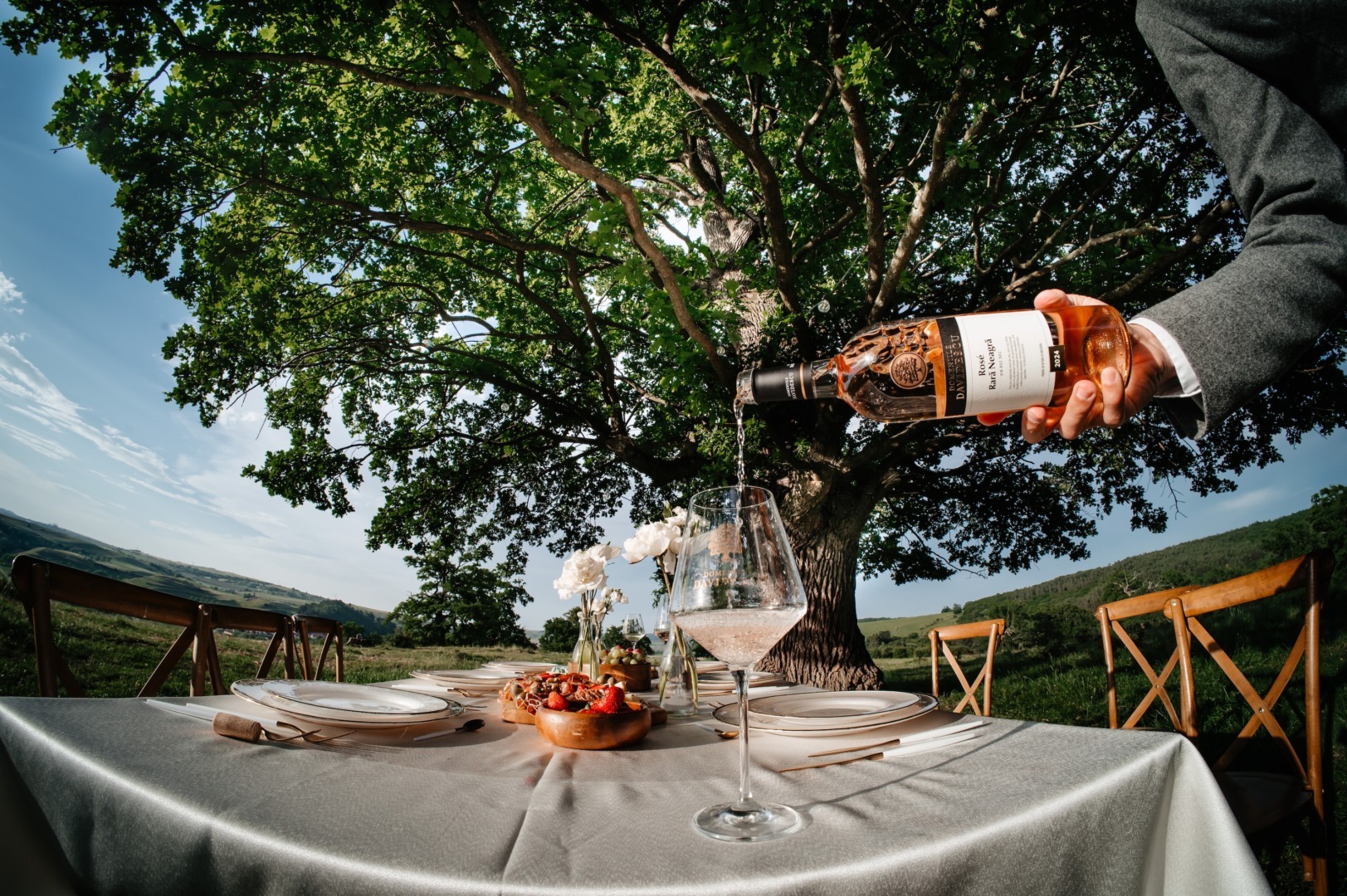 Vin rose, Casa Davidescu