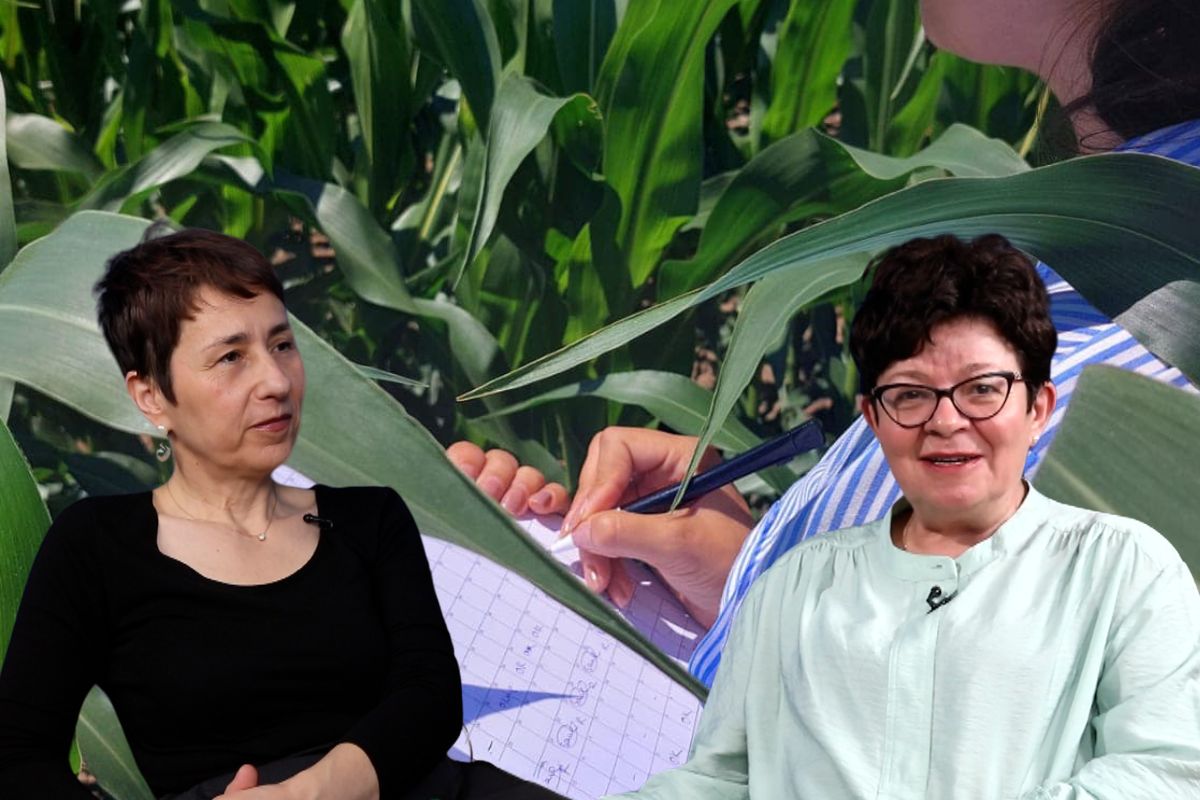 agricultura in schimbare, Viitorul agriculturii europene: simplificarea PAC și credite de carbon