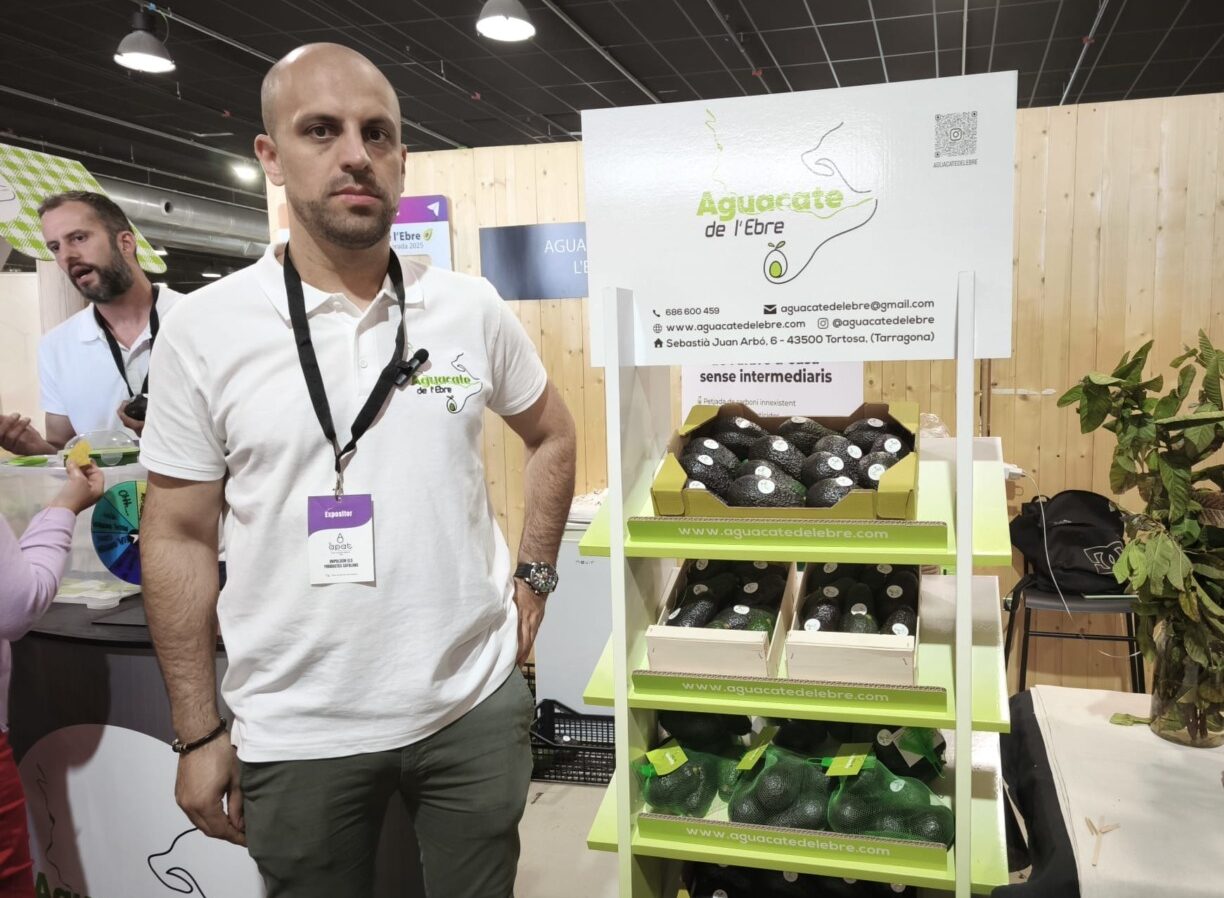 producator de avocado din Spania care cultiva sapte soiuri diferite de avocado