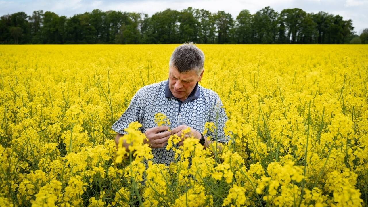 agricultura inteigenta