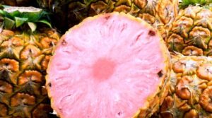 Ananasul roz se comercializeaza in Emiratele Arabe Unite, la pret de lux