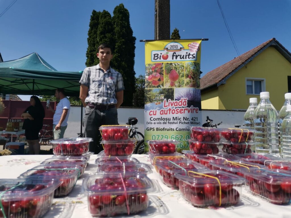 Alexandru Cristea de la livadă FOTO Ștefan Both