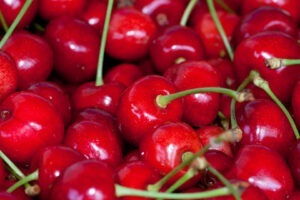 Celebrele cireșe de Kiustendil vor fi produs protejat UE