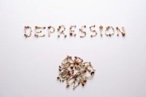 Substanța activă din așa-numitele ciuperci magice este eficientă în anxietate