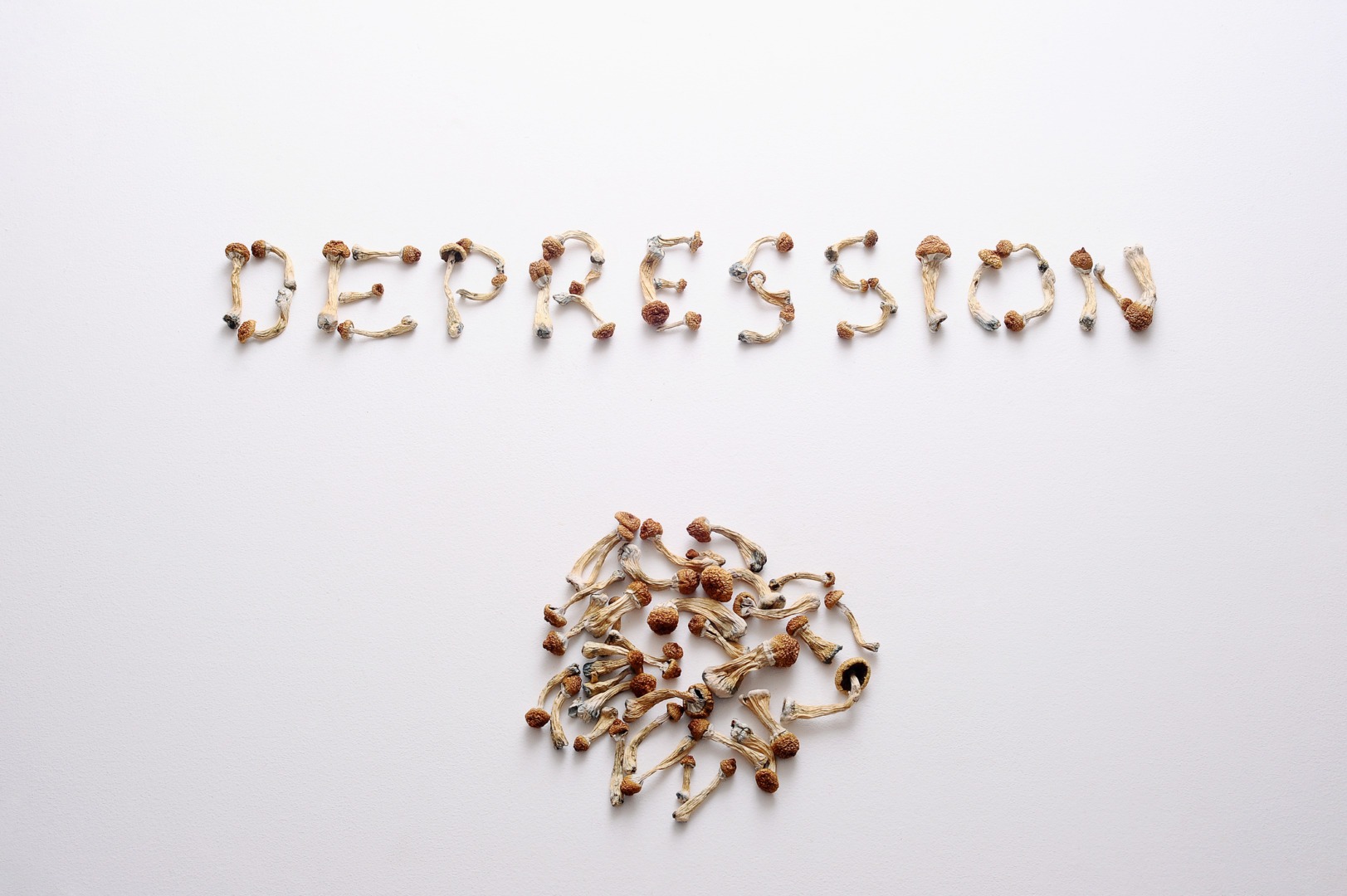 Substanța activă din așa-numitele ciuperci magice este eficientă în anxietate