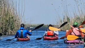 Participantii la turele cu caiacul în Delta Dunării mănâncă de regulă conserve.