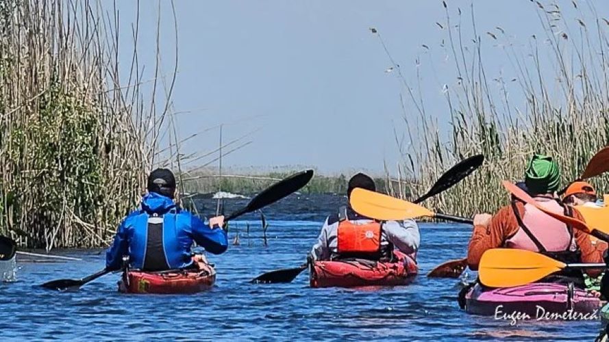 Participantii la turele cu caiacul în Delta Dunării mănâncă de regulă conserve.
