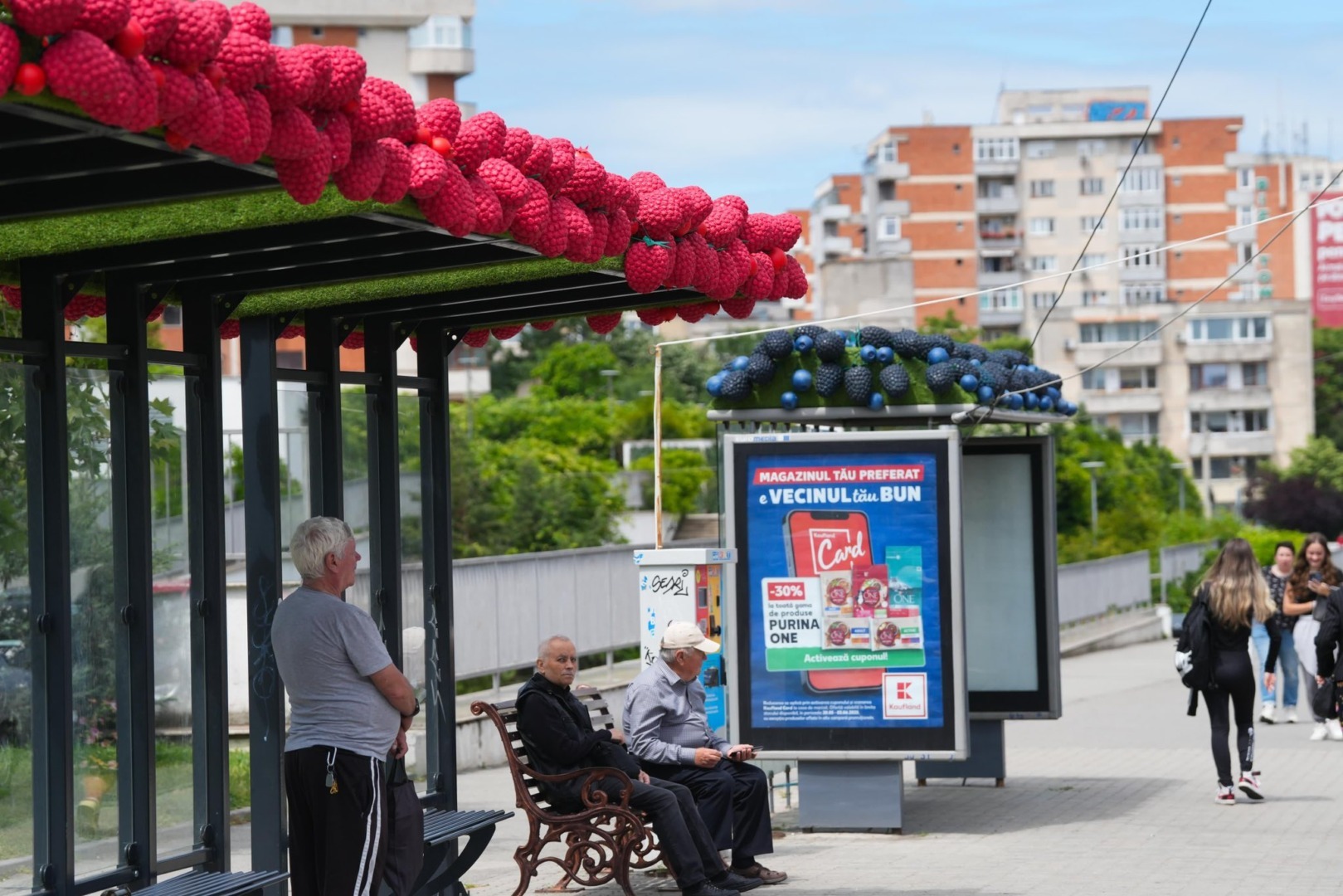 Primăria Craiova a montat fructe gigant peste stațiile de autobuz din municipiu