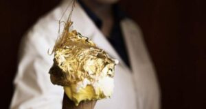 Cel mai scump cornet de înghețată din Italia costă 70 de euro