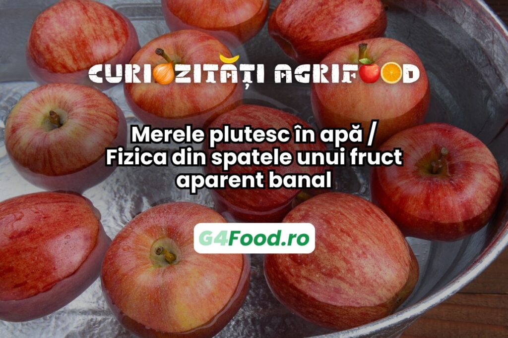 Merele plutesc în apă, conform principiilor fizicii.