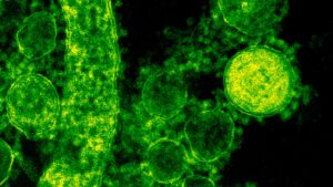 Nou trilog european pentru noile tehnici genomice.