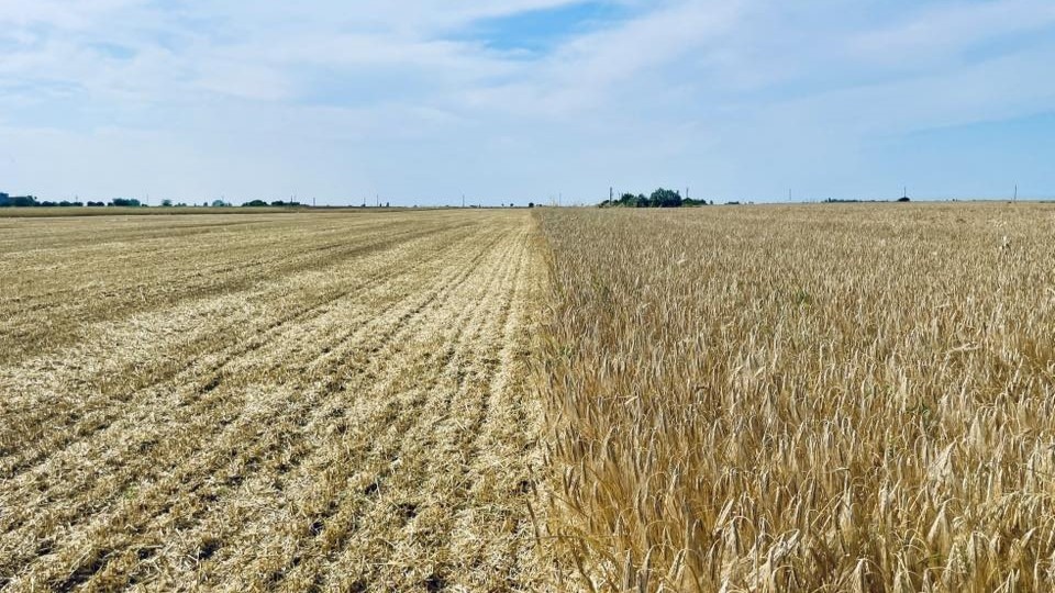 Ferma Blagu a dat startul campaniei de recoltare 2025.