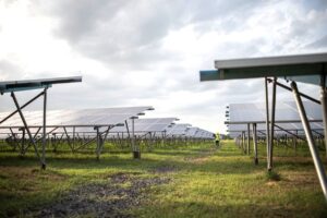 primul-parc-agrifotovoltaic-in-judetul-Iasi-investitie-spaniola-la-Tibanesti