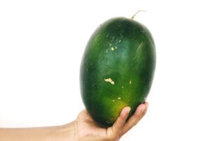 pepene-rosu-copt-care-sunt-semnele-ca-un-pepene-este-la-punctul-optim-de-coacere