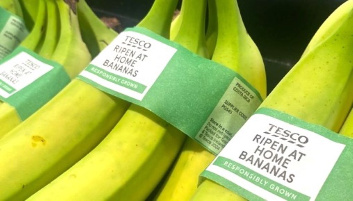 tesco-UK-vinde-banane-necoapte-pentru-reducerea-risipei-alimentare-la-domiciliu