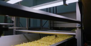 Producție alimentară asistată cu AI pentru a reduce risipa alimentară