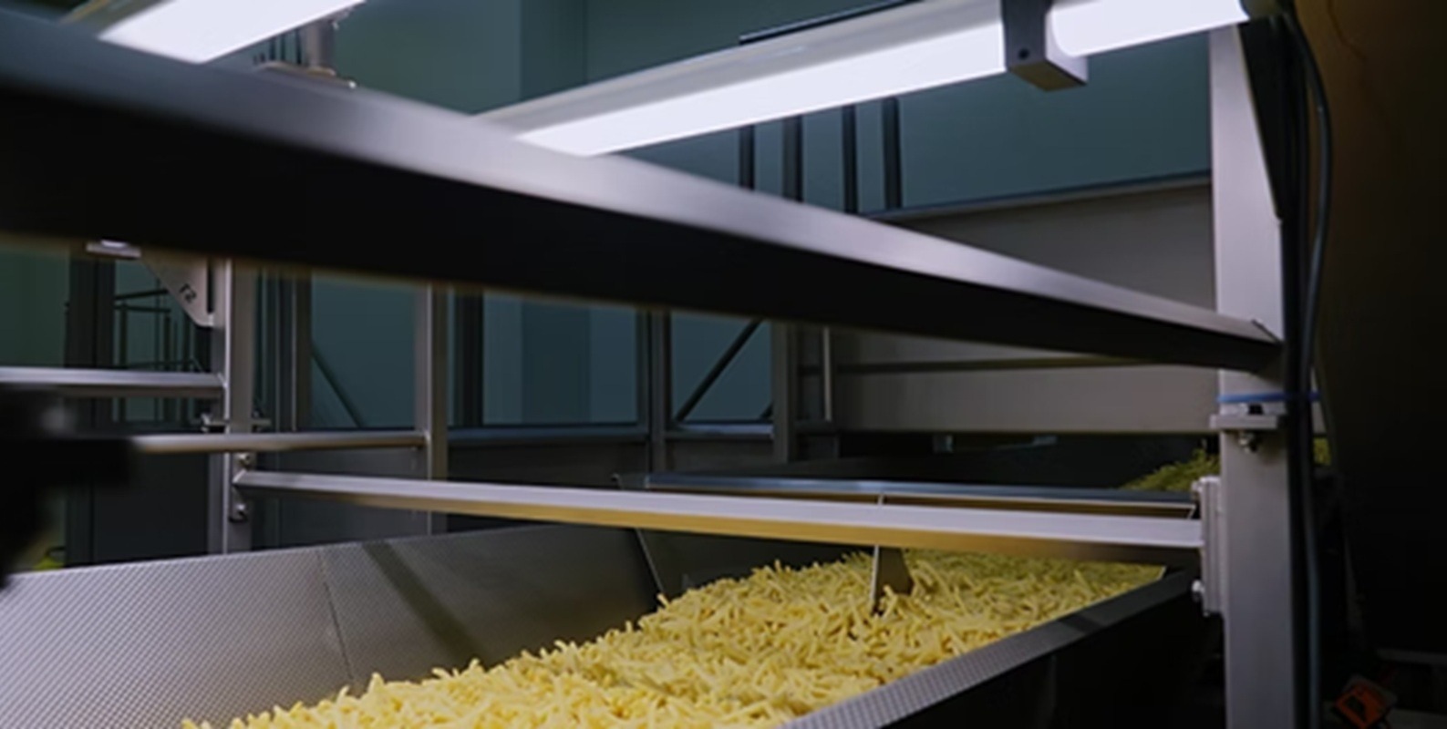 Producție alimentară asistată cu AI pentru a reduce risipa alimentară