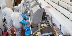 Programul INVESTALIM