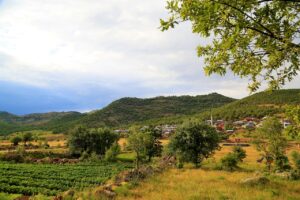 unda-verde-din-parlamentul-UE-pentru-dezvoltarea-zonelor-rurale