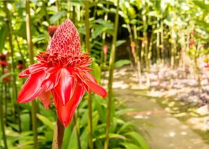 sRsCk5siTpezPecR65Wefa-1600-80