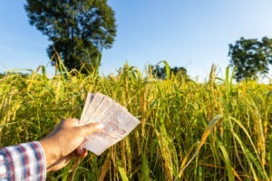 Salariul minim în Spania a crescut