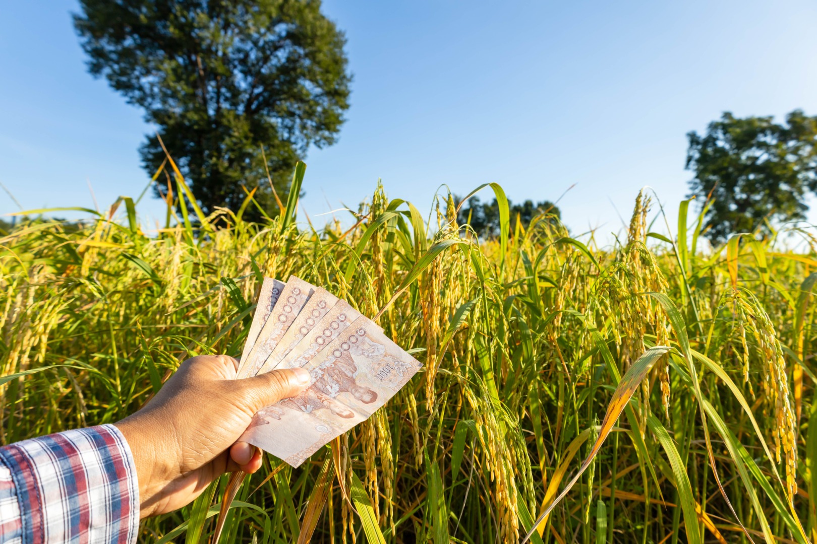 Salariul minim în Spania a crescut