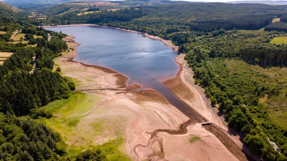 Agricultura, afectată de secetă