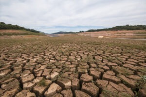 riscul-de-desertificare-solutiile-propuse-de-ministrul-mediului