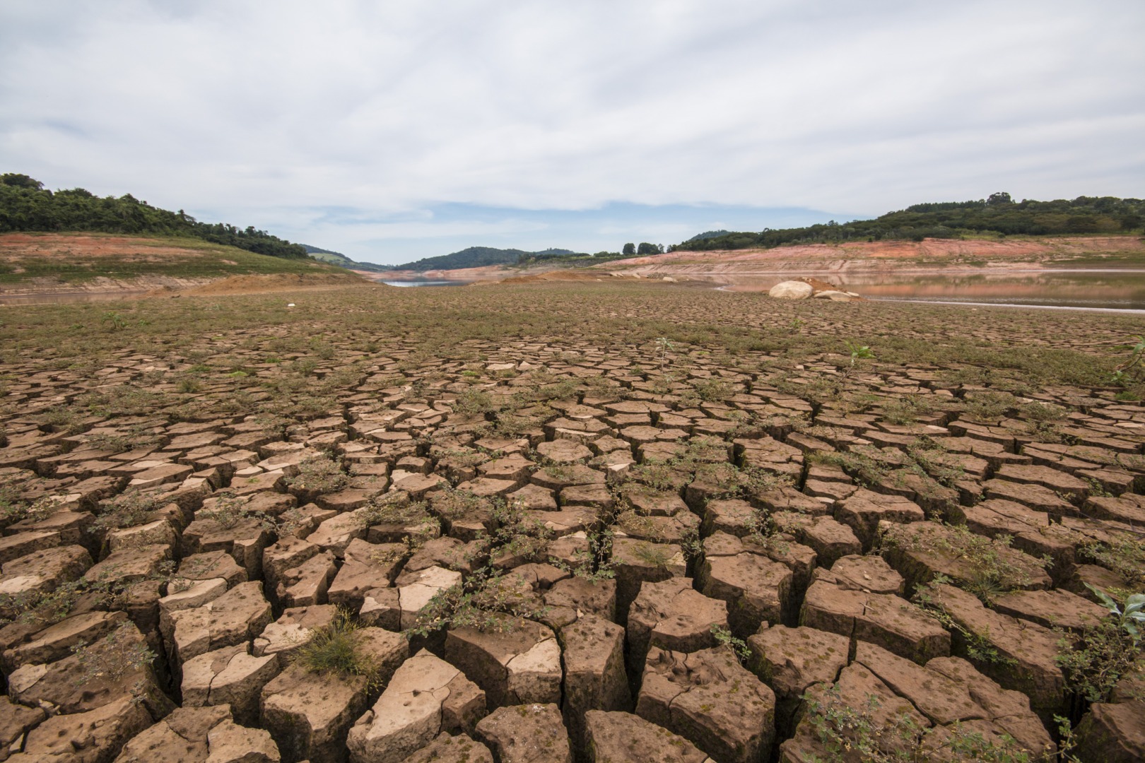 riscul-de-desertificare-solutiile-propuse-de-ministrul-mediului