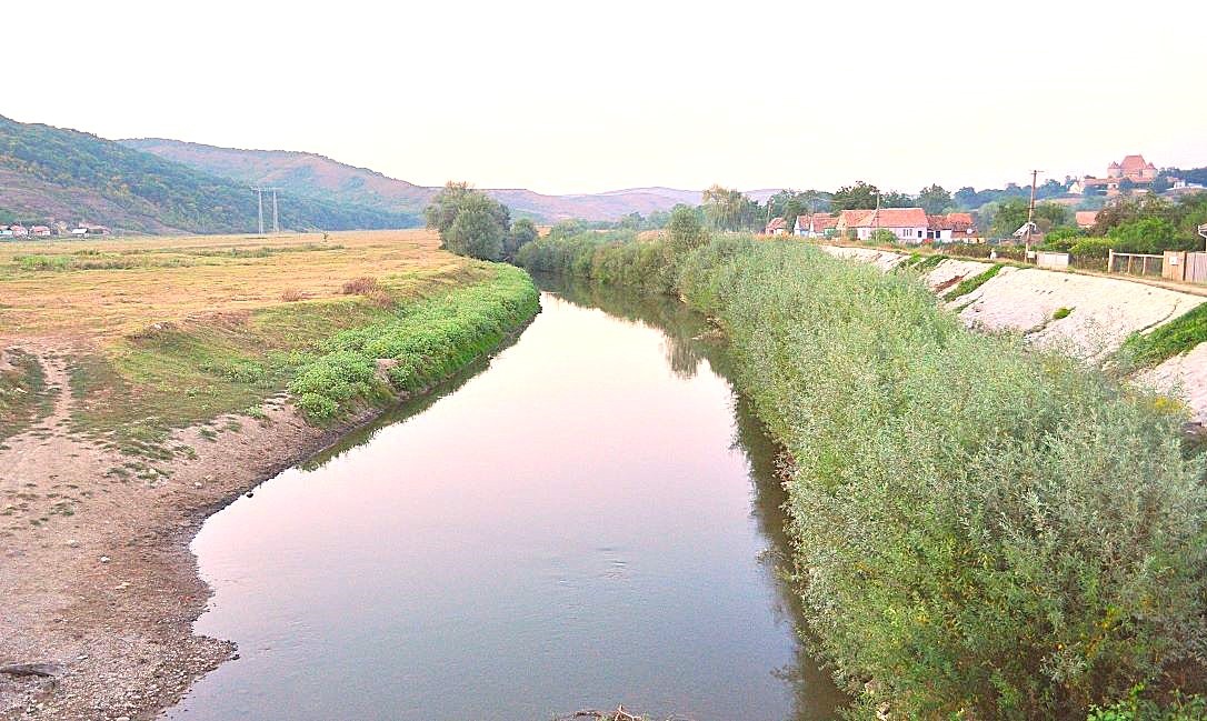 animalele-salbatice-au-curatat-raul-Tarnava-Mica-de-pesti-morti-in-urma-cresterii-salinitatii-apei-Praid