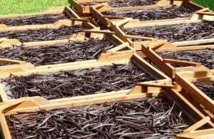 care-sunt-diferentele-intre-vanilie-si-vanilina-la-ce-produse-se-potriveste-mai-bine-fiecare