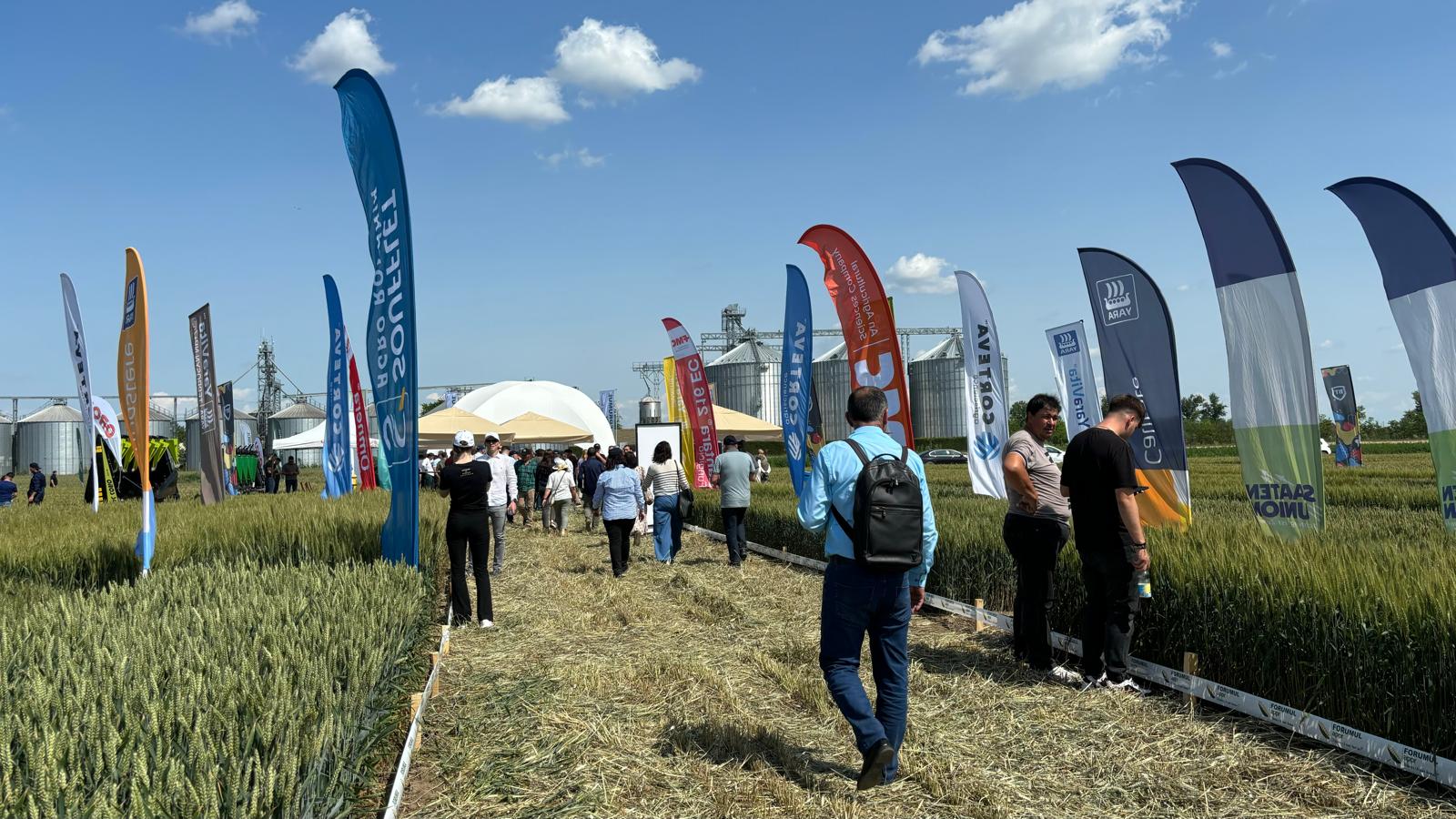 Ziua Grâului Bărăgan: Eveniment dedicat progresului agricol, organizat de Forumul APPR