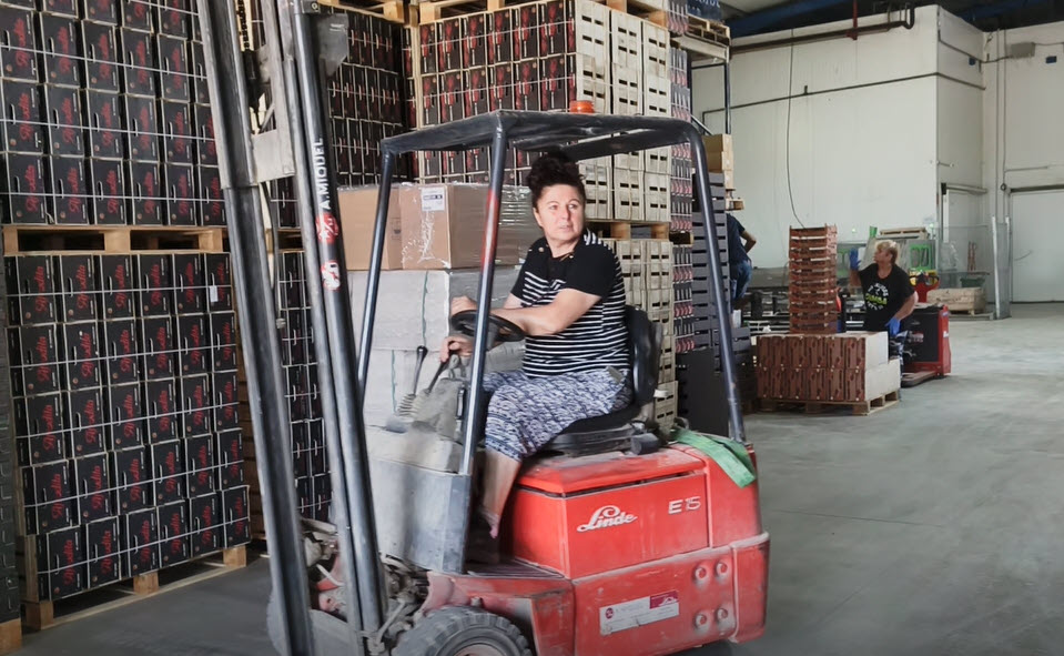 digitalizare si improvizatie romaneasca la ferma romanilor din Lleida