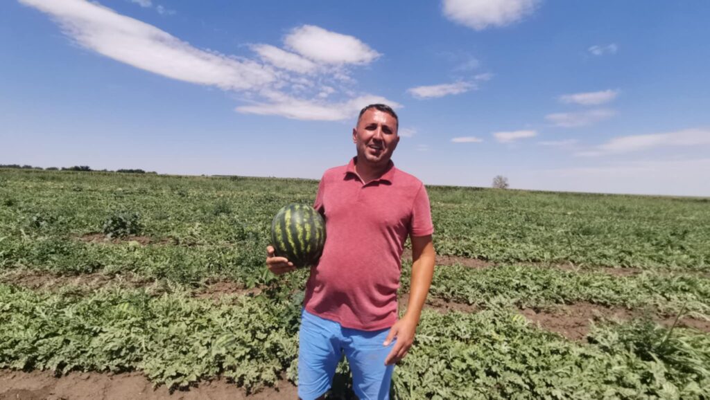 Cornel Crețu, cultivator de lubeniță