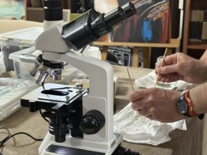 Ateliere de știință pentru copii