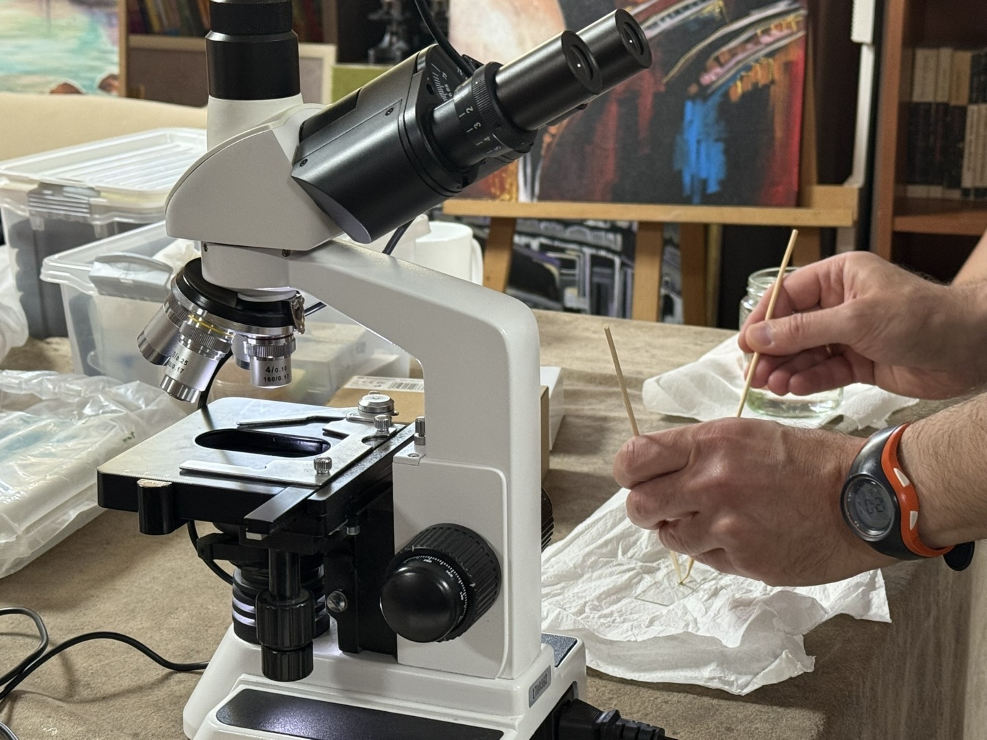 Ateliere de știință pentru copii