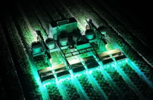 Compania TRIC Robotics implementează tehnologia luminii UV pentru a reduce utilizarea pesticidelor în cultivarea căpșunilor