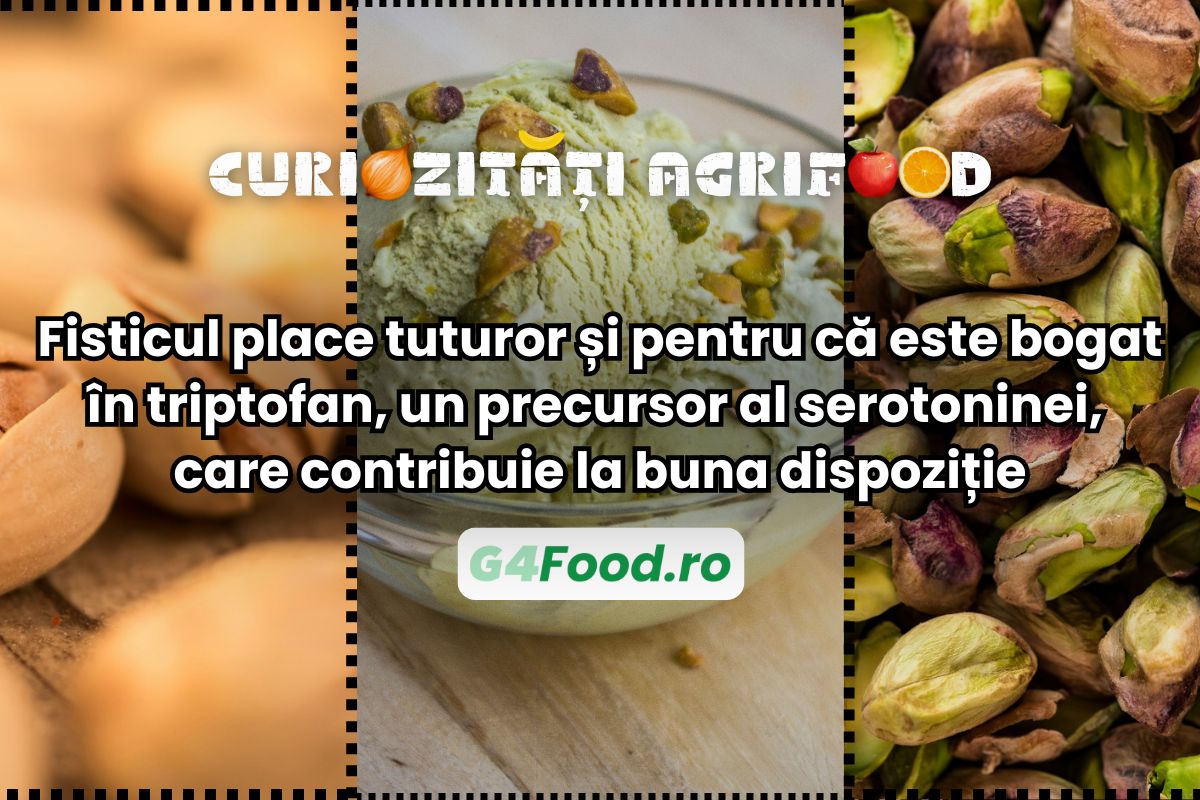 fisticul-contine-magneziu-vitamine-B-triptofan-care-contribuie-la-producerea-serotoninei-care-ajuta-buna-dispozitie
