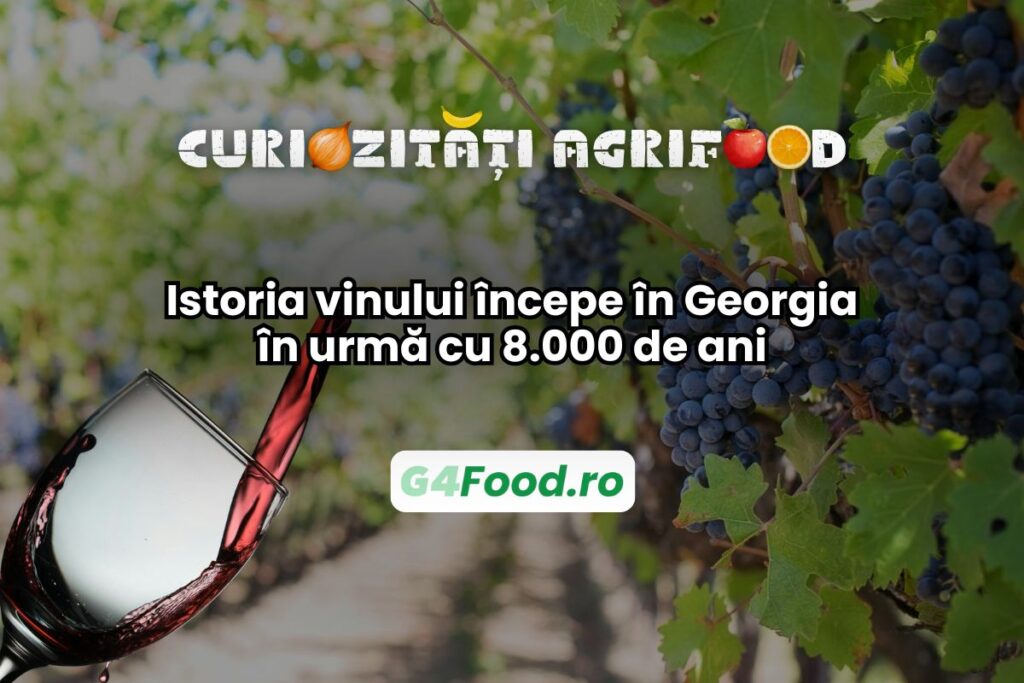 Istoria vinului începe în Georgia în urmă cu 8.000 de ani/ Puțini știu, dar de aici provin cele mai vechi dovezi arheologice de vinificație